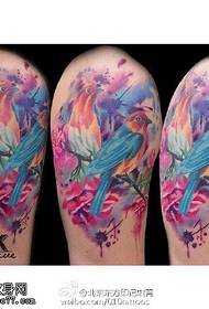 Patrón de tatuaxe de aves na acuarela de ombreiro