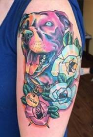 Kūrybingas dominantis šuns tatuiruotės modelis su daugybe dažytų akvarelės eskizų
