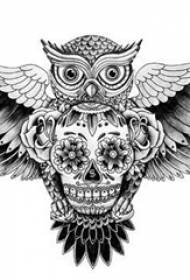Чорна-шэры эскіз творчага ўладарнага літаратурнага рукапісу татуіроўкі савы