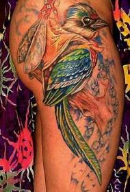 Šarene ptice sa uzorkom tetovaža letećeg patuljaka