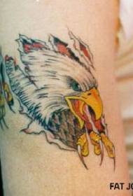 الگوی تاتو سر عقاب پاره شده با رنگ بازو
