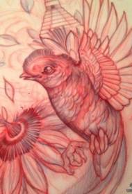 Dorëshkrimi i modelit tatuazh të zogjve shkollor evropian dhe amerikan model dorëshkrimi