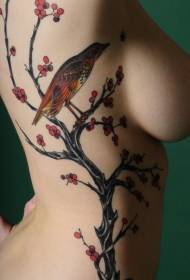 Странично ребро сливово дърво с пъстър модел птица татуировка
