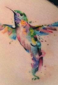 Zojambula zamatumbo amtundu wa hummingbird tattoo