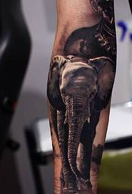 Papiso ea tattoo ea setšoantšo sa 3d e hlakile haholo