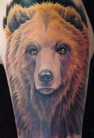 Predivan akvarelni medved tetovaža uzorak
