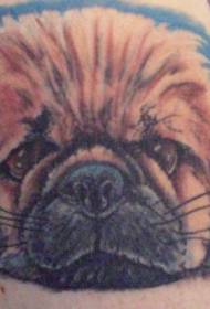 Fluffy puppy dog \u200b\u200btattoo pattern