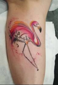 Braccio color acqua fenicottero lettering tatuaggio modello