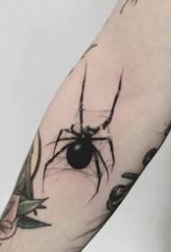 Leuke set van zwart-grijze kleine tattoo-patronen met spinnen
