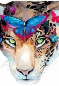 Pictura de acuarelă pictată creativ manuscris tatuaj fluture leopard fluture