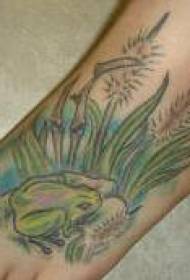 Motivo del tatuaggio rana verde sul piede colorato palude