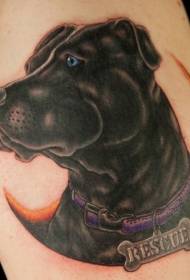 Stará škola barevné roztomilý pes tetování vzor