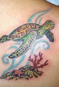 Simpatica tartaruga con motivo a tatuaggio di stelle marine di corallo