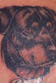 Rottweiler fej portré tetoválás minta