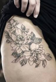 Sett med feid nålblomst plante tatovering blomsterbilder