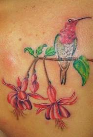 Makeer color color hummingbird ane maruva tattoo maitiro