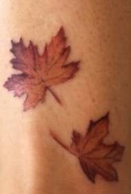 Modello di tatuaggio foglia 10 diverse forme di modello di tatuaggio foglia