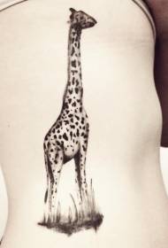 Costelas laterais patrón de tatuaxe de xirafa linda