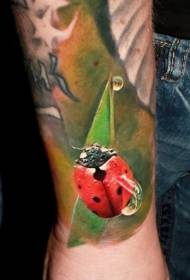 Coccinella tridimensionale realistica realistica e modello tatuaggio goccia d'acqua