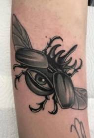 Ryhmä hyönteisten tatuointikuvia tummassa mustassa sävyssä