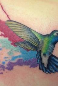 다채로운 스플래시 잉크 수채화 벌새 문신 패턴