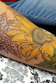 Patró de tatuatge de gira-sol Varietat de plantes de tatuatge de patró de gira-sol 10 fulls