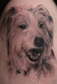 Dlouhovlasý pes portrét tetování vzor