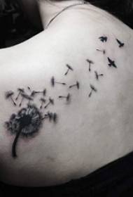 Dandelion tattoo e ntle ea dandelion tattoo paterone
