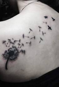 Dandelion tatuu lẹwa lẹwa dandelion tatuu ilana