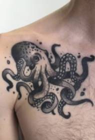 Different styles of a set of octopus tattoo pictures