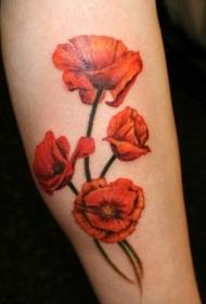 Foto di tatuaggi di fiori di papavero belli ma mortali di mudellu di tatuaggi di fiore di papavero