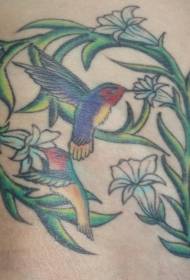 Mga kolor sa hummingbird sa bitiis nga adunay sumbanan nga tattoo sa parras