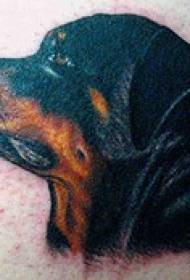 Padrão de tatuagem Rottweiler realista