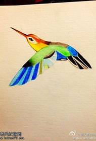 Modello del manoscritto del tatuaggio del colibrì di personalità di colore