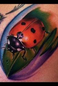 Çiyin rəngli foto-realist ladybug döymə nümunəsi
