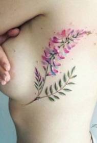 Uzorak biljnih tetovaža Raznolike vrlo male i svježe uzorke tetovaža biljaka