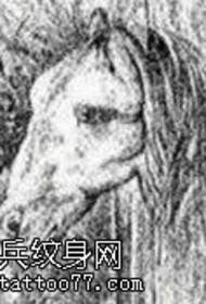 Pekný a krásny rukopis tetovania hlavy koňa