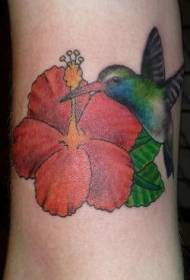 Nogi czerwone kwiaty z wzorem tatuażu kolibra