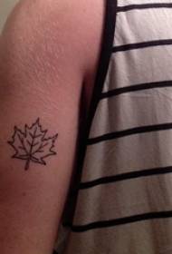 krahu i djalit në materialin e zi të linjës së thjeshtë të bimëve panje, tatuazh fletë fotografish