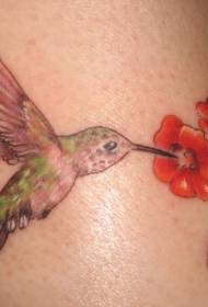 Beso kolorea kolibrisa jatea leporatzeko tatuaje eredua