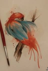 Европейские и американские чернила всплеска маленькая новая рукопись образца татуировки попугая
