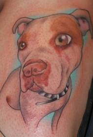 Color bull terrier dog tattoo pattern