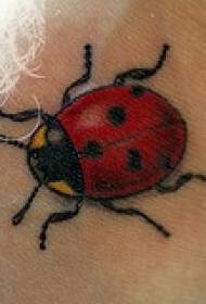 Realistinen kuva ladybug-tatuoinnista olkapäällä