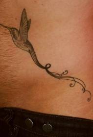Black-grey long-tailed hummingbird tattoo pattern