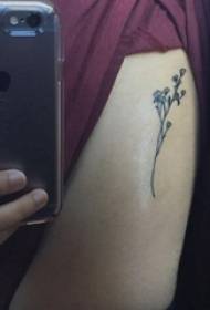 Brazo da rapaza na liña sinxela negra pequena planta de tatuaxe de flores de planta fresca