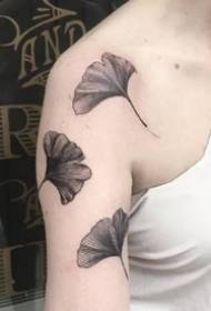 A small fresh set of 9 ginkgo leaf tattoo patterns