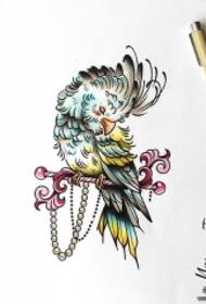 Europeisk og amerikansk manuskript for tatoveringsmønster for papegøyeskoler i farger