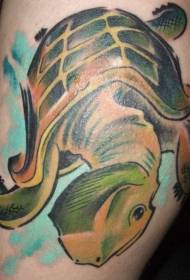 Modello tatuaggio personalità tartaruga verde