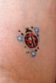 Ladybug და სამი ლურჯი ვარსკვლავი ტატუირების ნიმუში