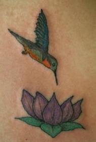 Nazaj barvni vzorec tatoo lotosa in kolibri